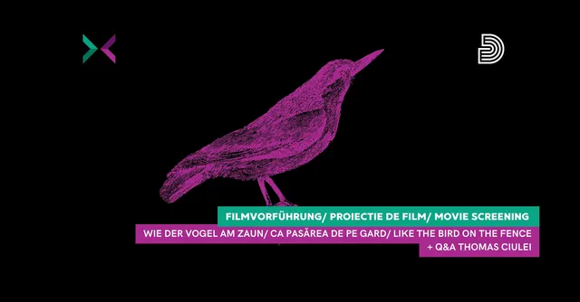 Proiecție de film „Ca pasărea de pe gard” de Thomas Ciulei & Q&A
